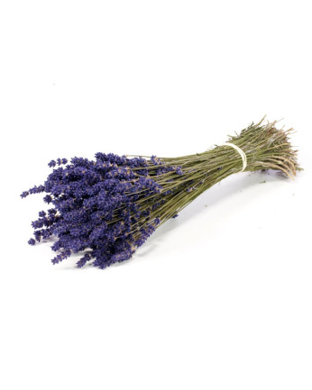 Lavanda seca premium