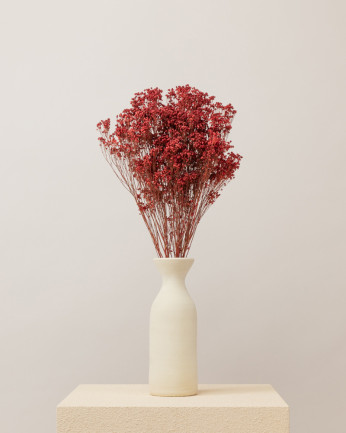 Broom bloom seco rojo (mazo)