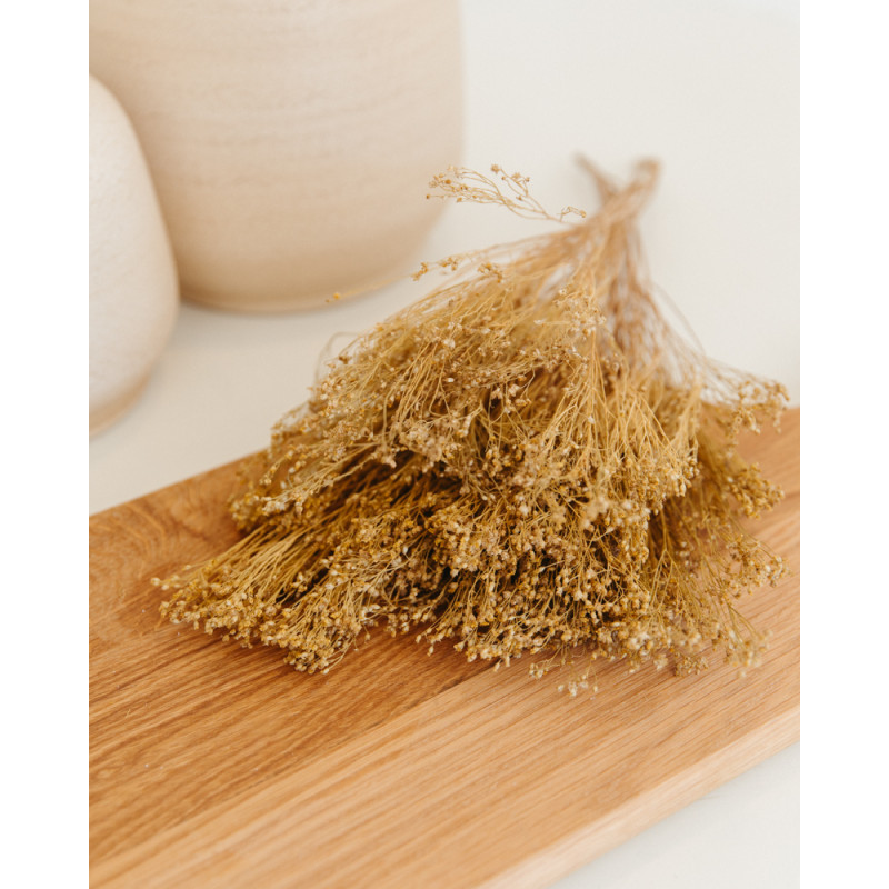 broom bloom seco natural foto cocina