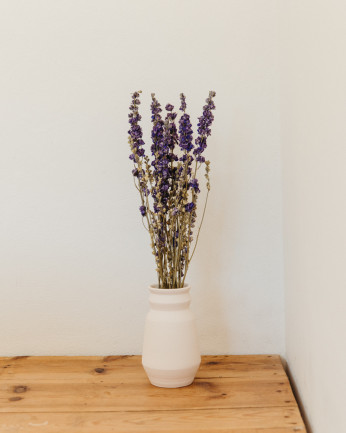 delphinium seco azul en habitación