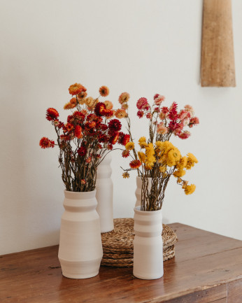 helichrysum seco varios colores en mesa