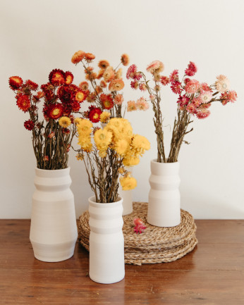 helichrysum seco mezclado en mesa