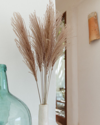 foto de pampa en una casa - flor miscanthus