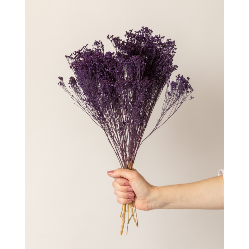 broom bloom seco morado detalle en mano