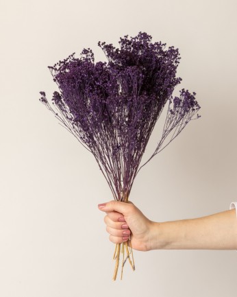 broom bloom seco morado detalle en mano