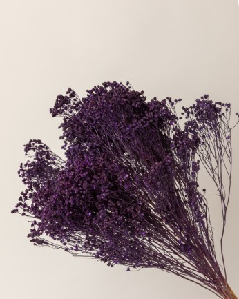 broom bloom seco morado detalle