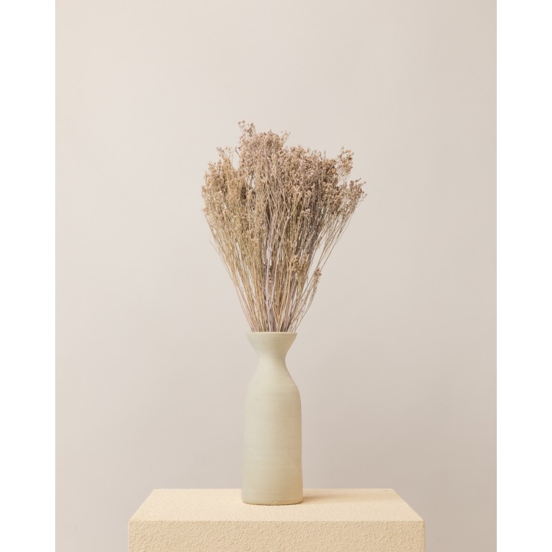 broom bloom seco lila misty jarron