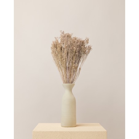 broom bloom seco lila misty jarron