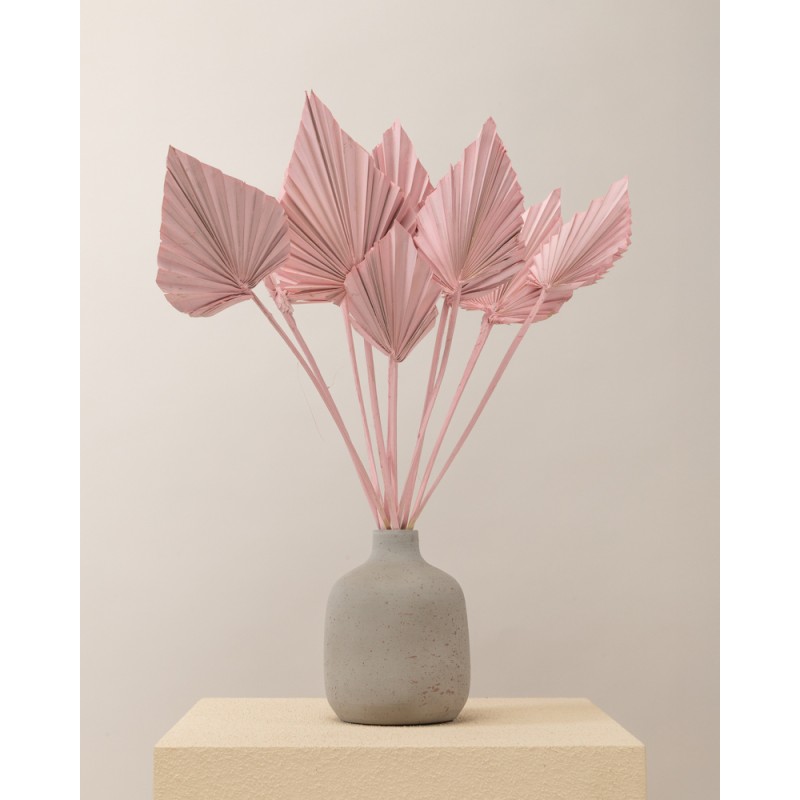 hojas de palma seca rosa