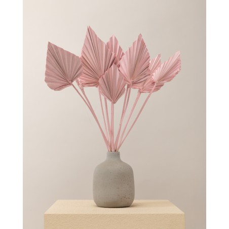 hojas de palma seca rosa