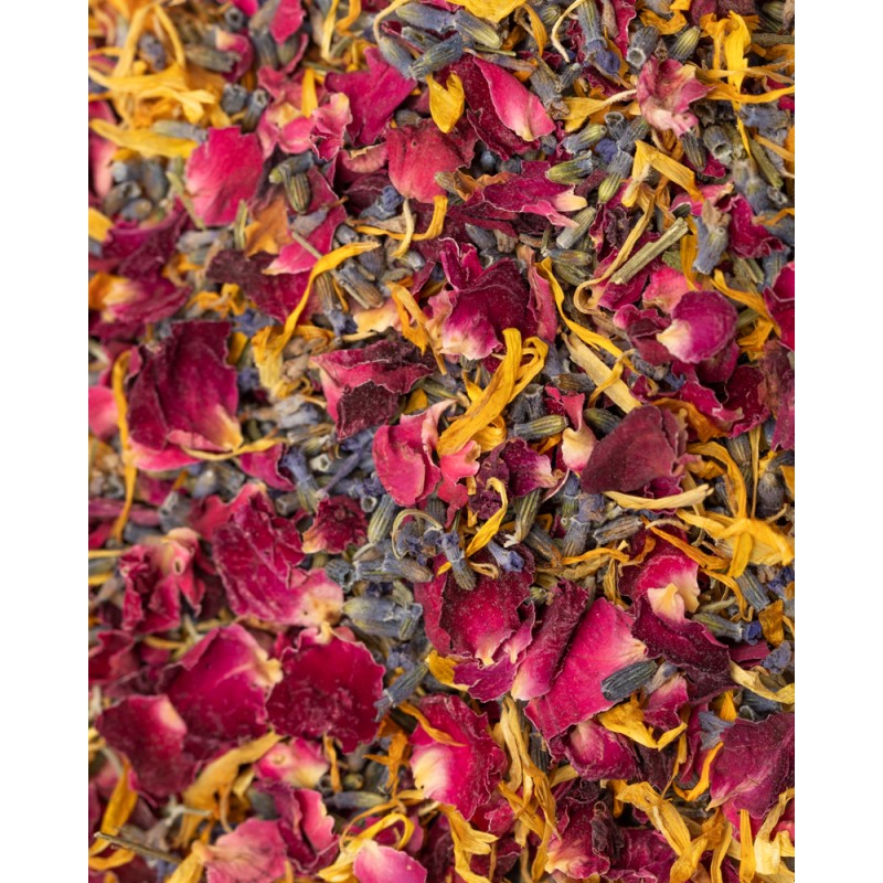 detalle petalos de flor seca burgundy selection