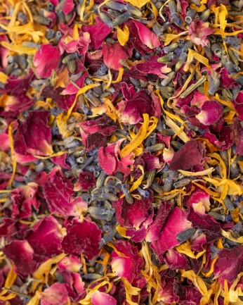 detalle petalos de flor seca burgundy selection
