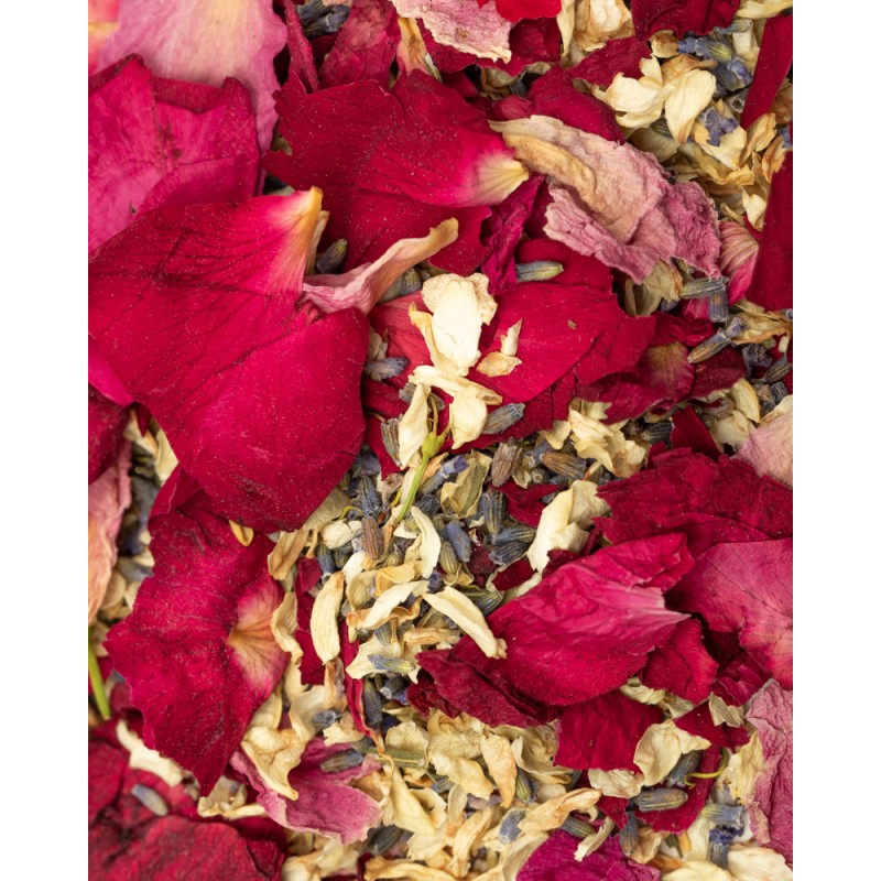 detalle de petalos de flores secas en confeti biodegradable burgundy forever