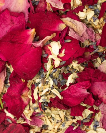 detalle de petalos de flores secas en confeti biodegradable burgundy forever