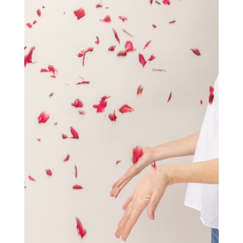 lanzamiento rosas secas en petalos