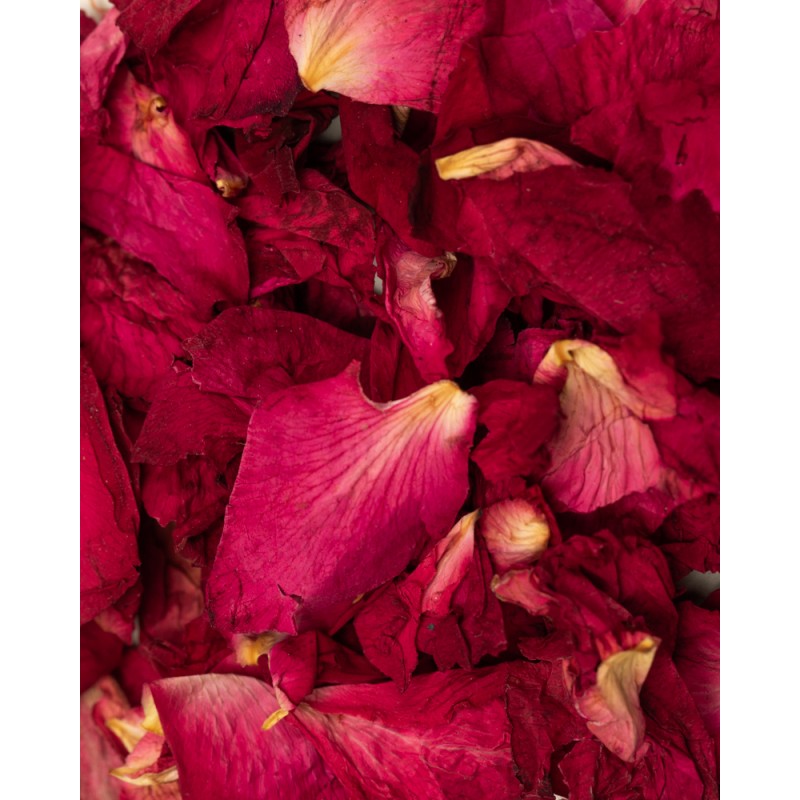 detalle de petalos de rosas secas