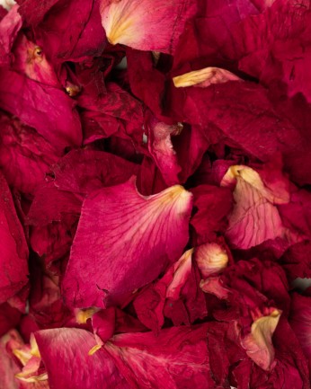 detalle de petalos de rosas secas