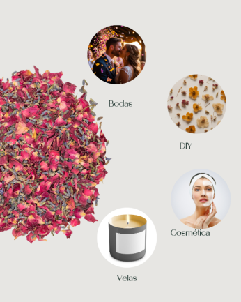 Burgundy premium - Confeti...