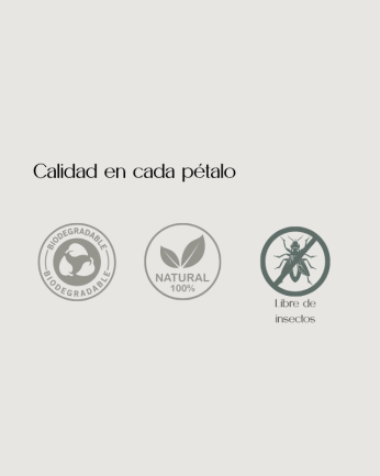Elegance - Confeti...