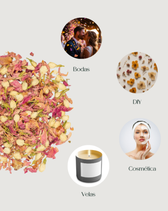 Burgundy bloom - Confeti...