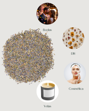 Lavanda seca natural 100gr