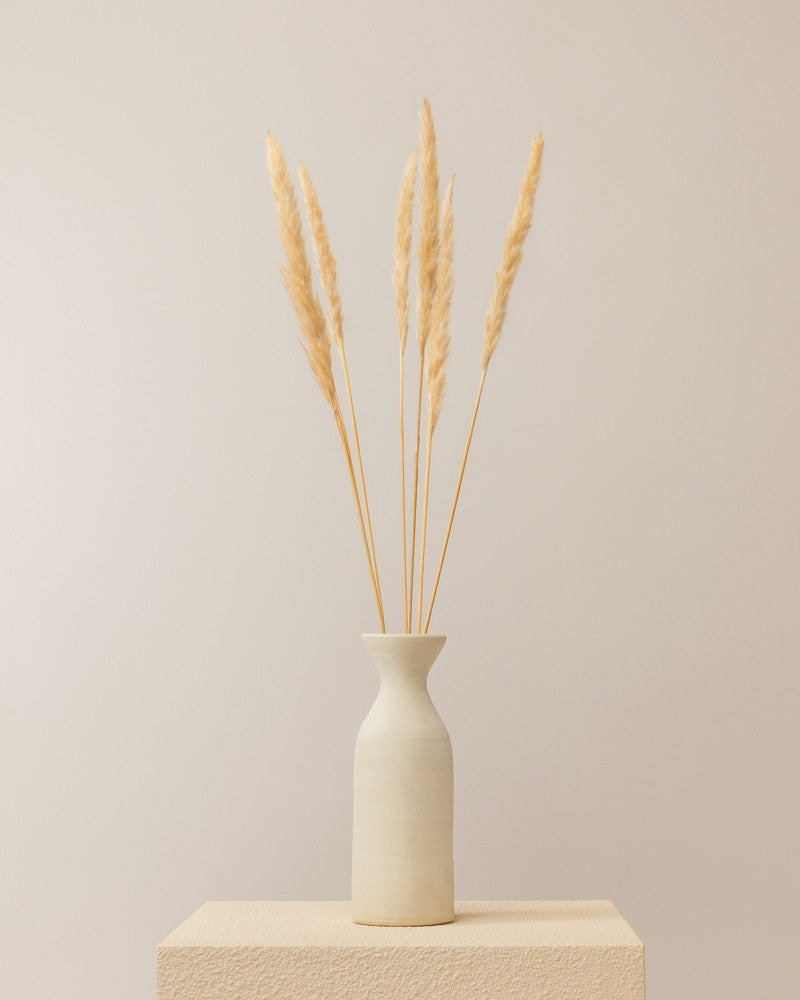 Pampas secas en color crema