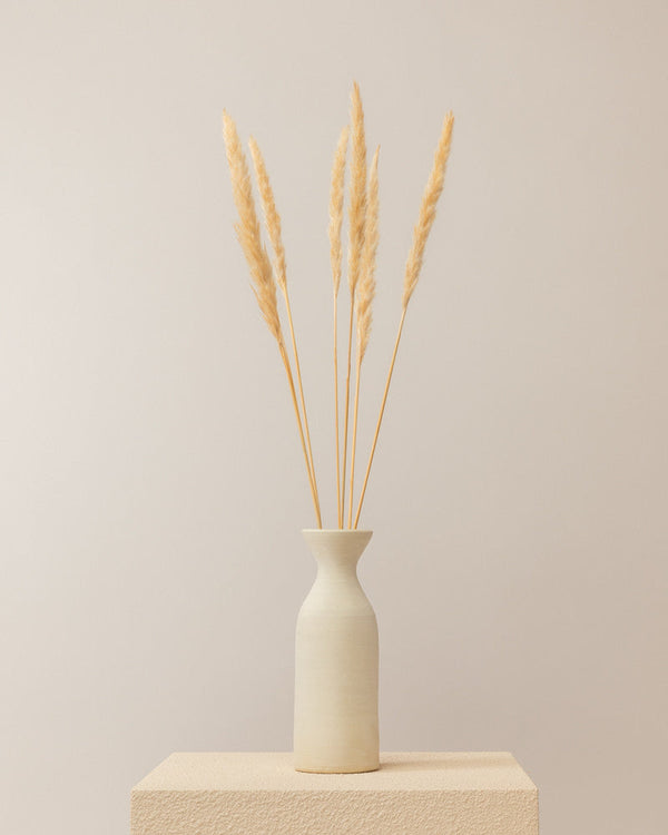 Pampas secas en color crema