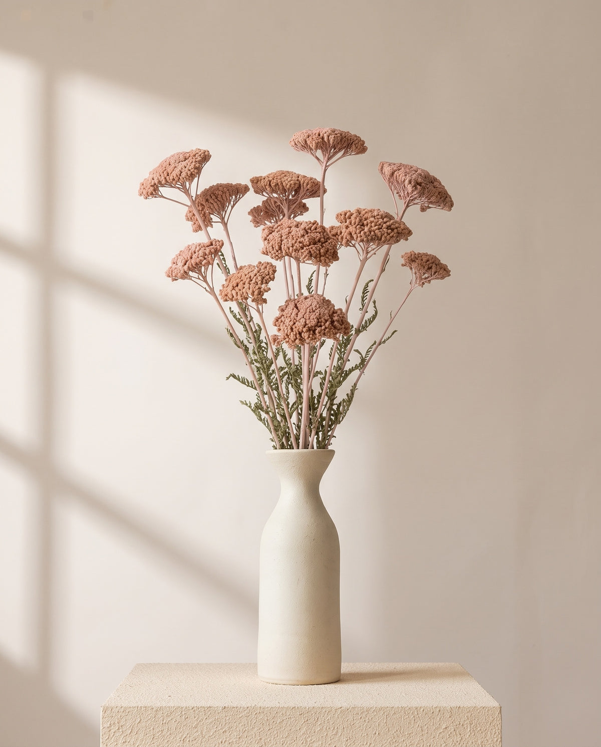 Achillea Parker seca rosa claro en un jarrón de cerámica blanca. Jarrón no incluido.
