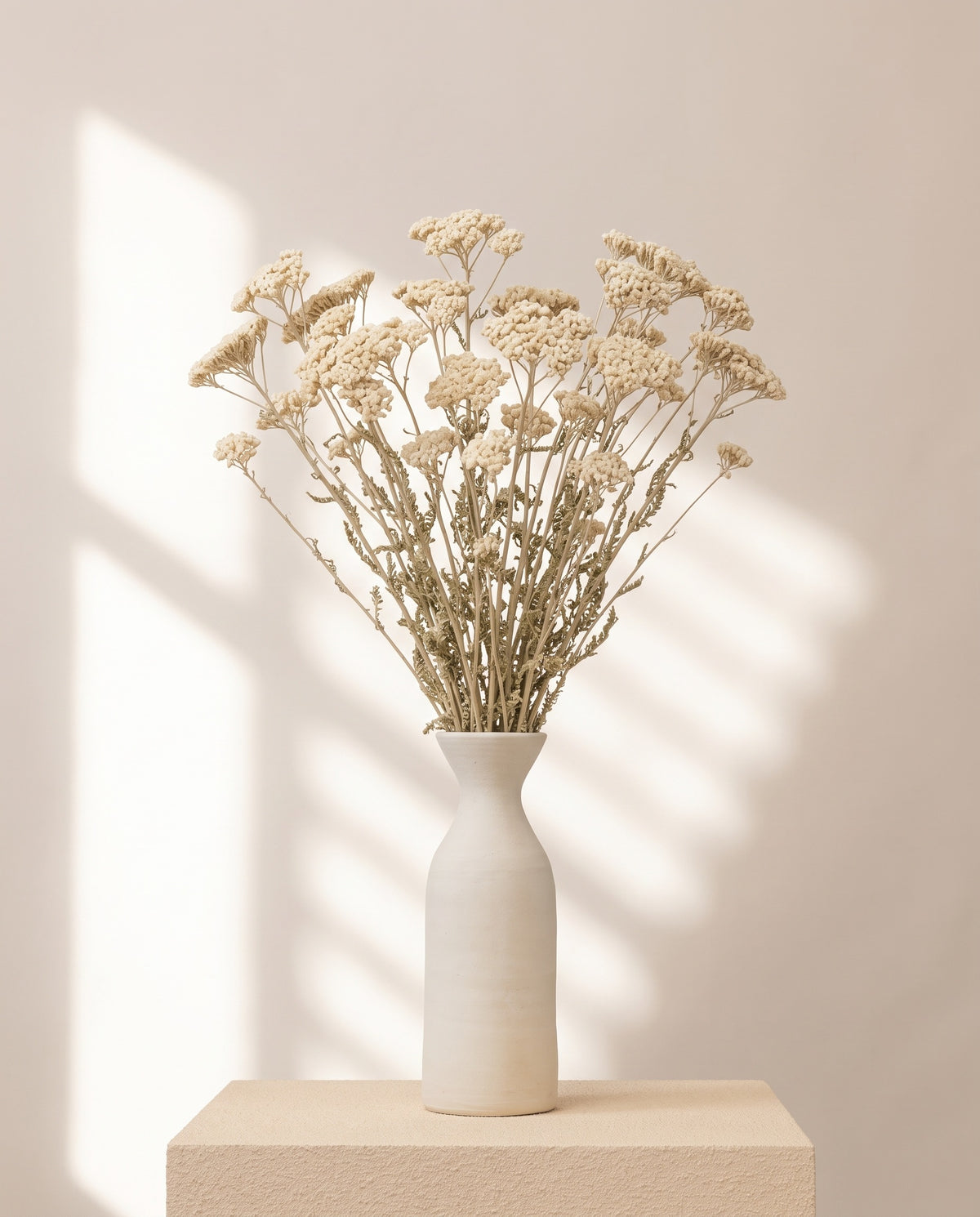 Achillea Silvestre seca blanca en un jarrón de cerámica blanca. Jarrón no incluido.
