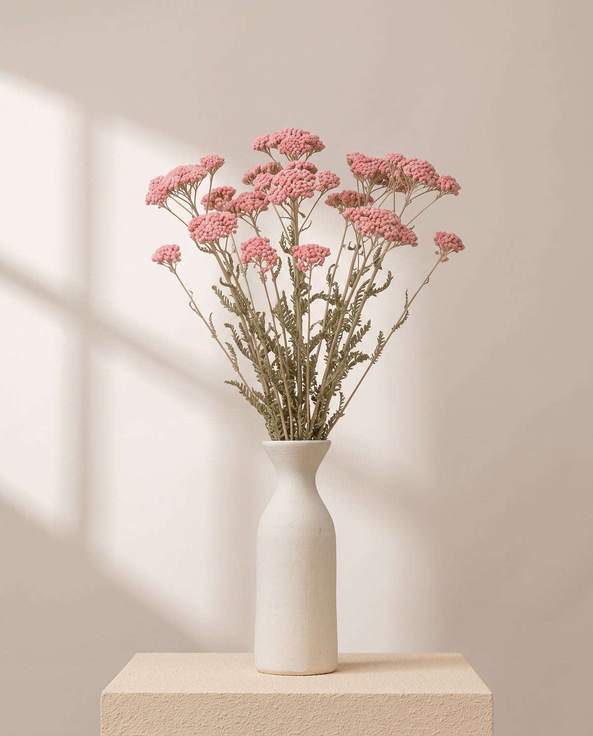 Achillea Silvestre seca rosa claro en un jarrón de cerámica blanca. Jarrón no incluido.