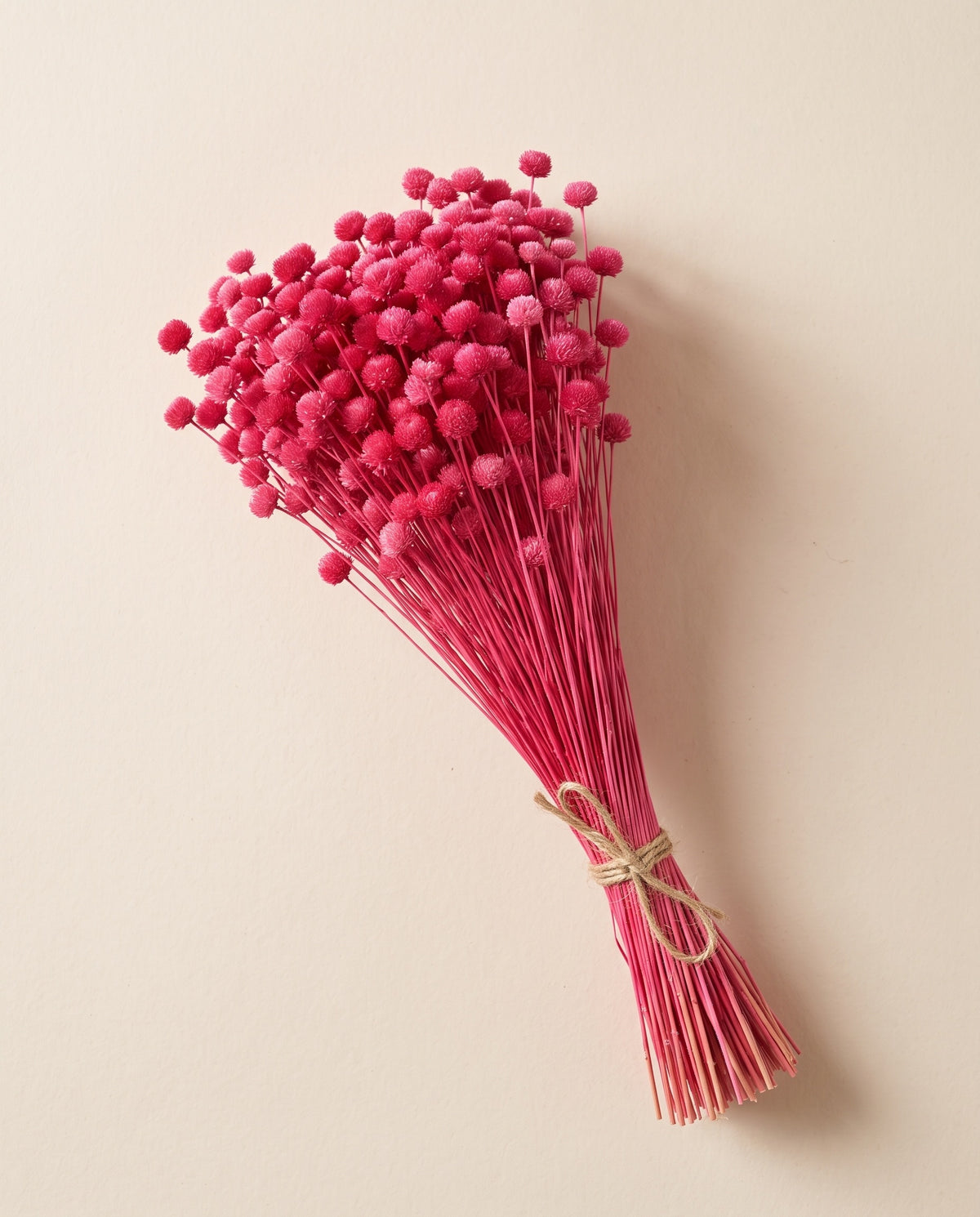 Amarelino seco fucsia