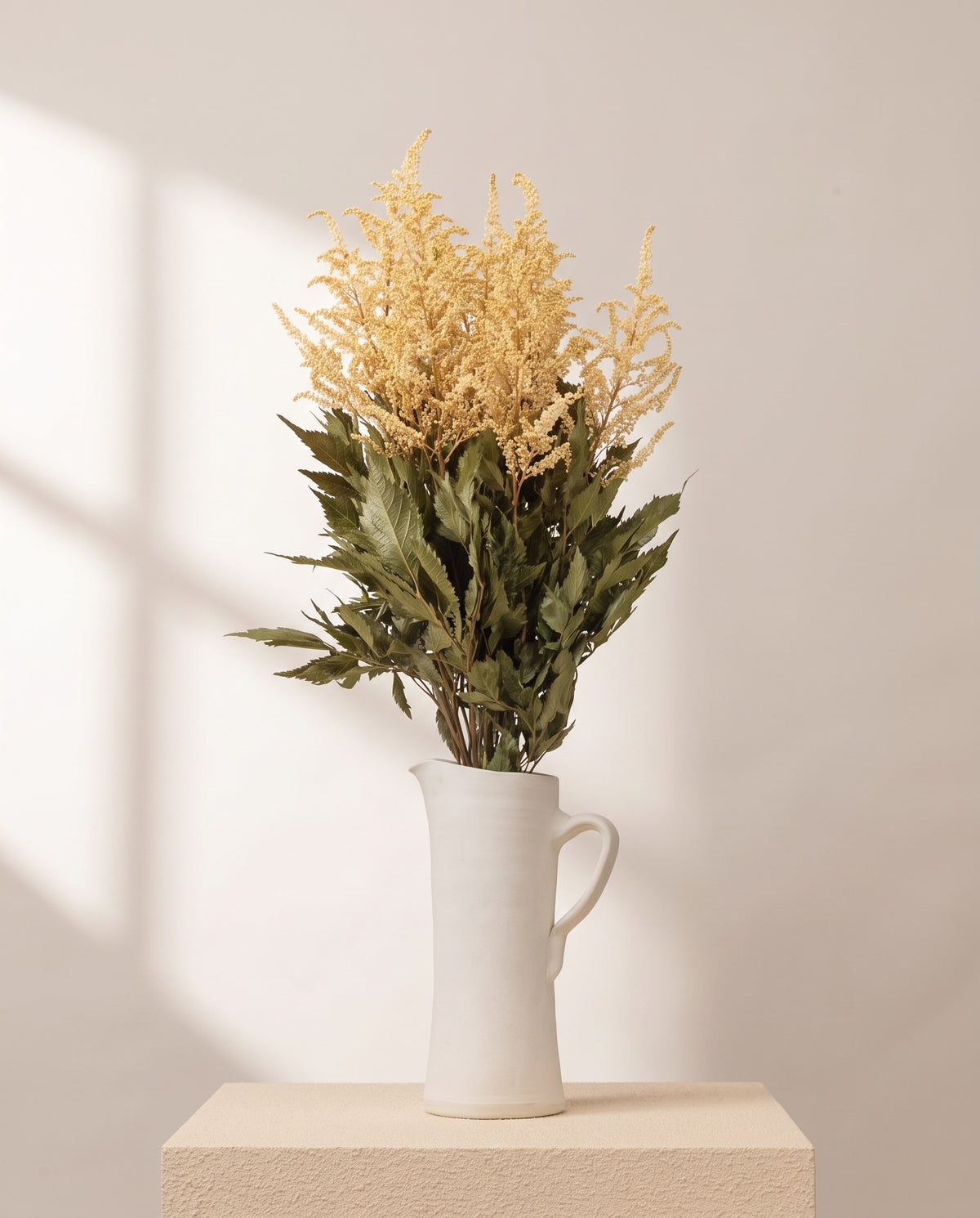 Astilbe preservada crema en una jarra de cerámica crema. Jarra no incluida.