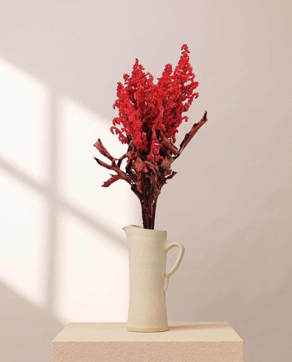 Astilbe preservada vermelha numa jarra de cerâmica creme. Jarra não incluída.