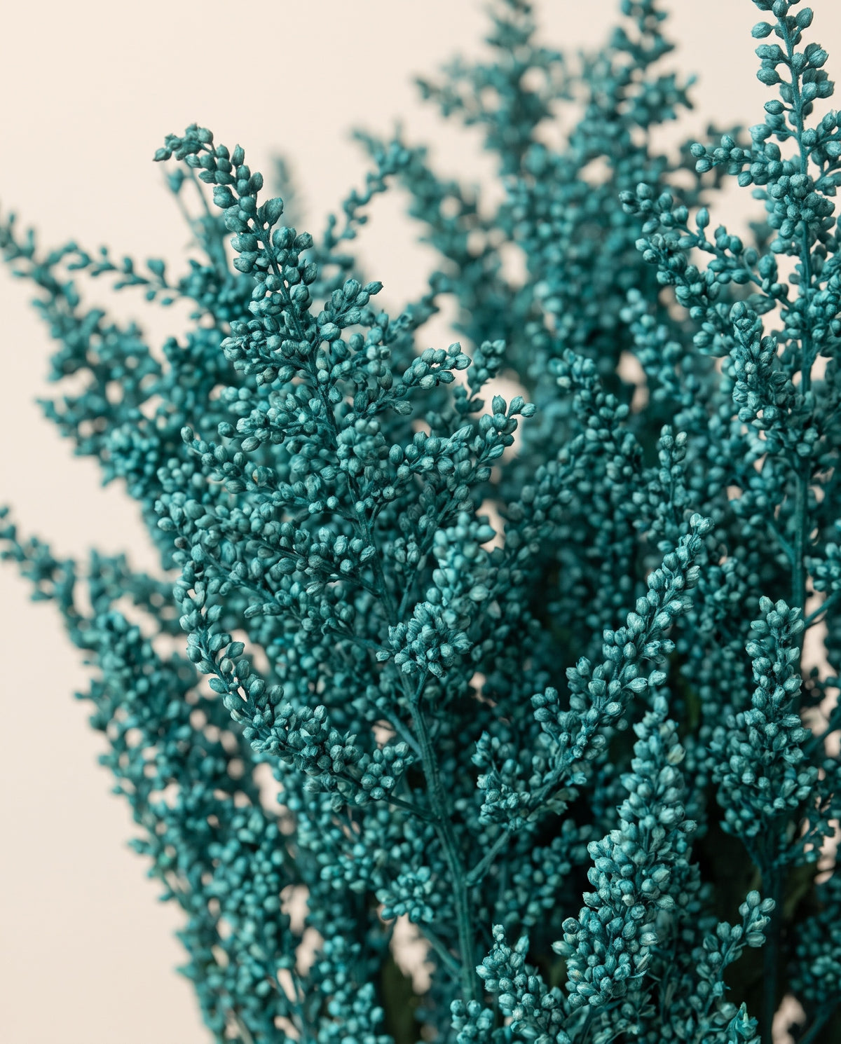 Detalhe de perto de astilbe preservada turquesa.