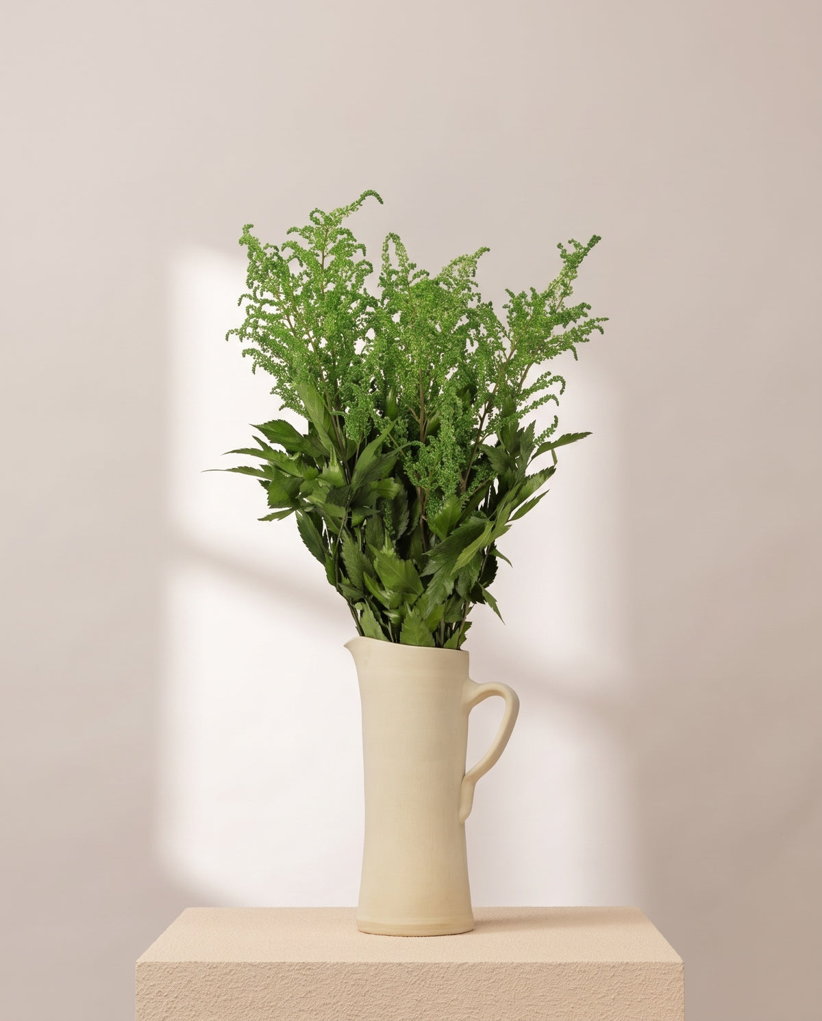 Astilbe preservada verde en una jarra de cerámica crema. Jarra no incluida.