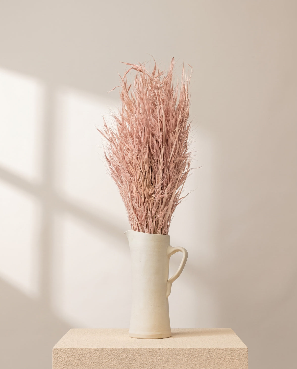 Aveia selvagem seca rosa empoeirado numa jarra de cerâmica creme. Jarra não incluída.