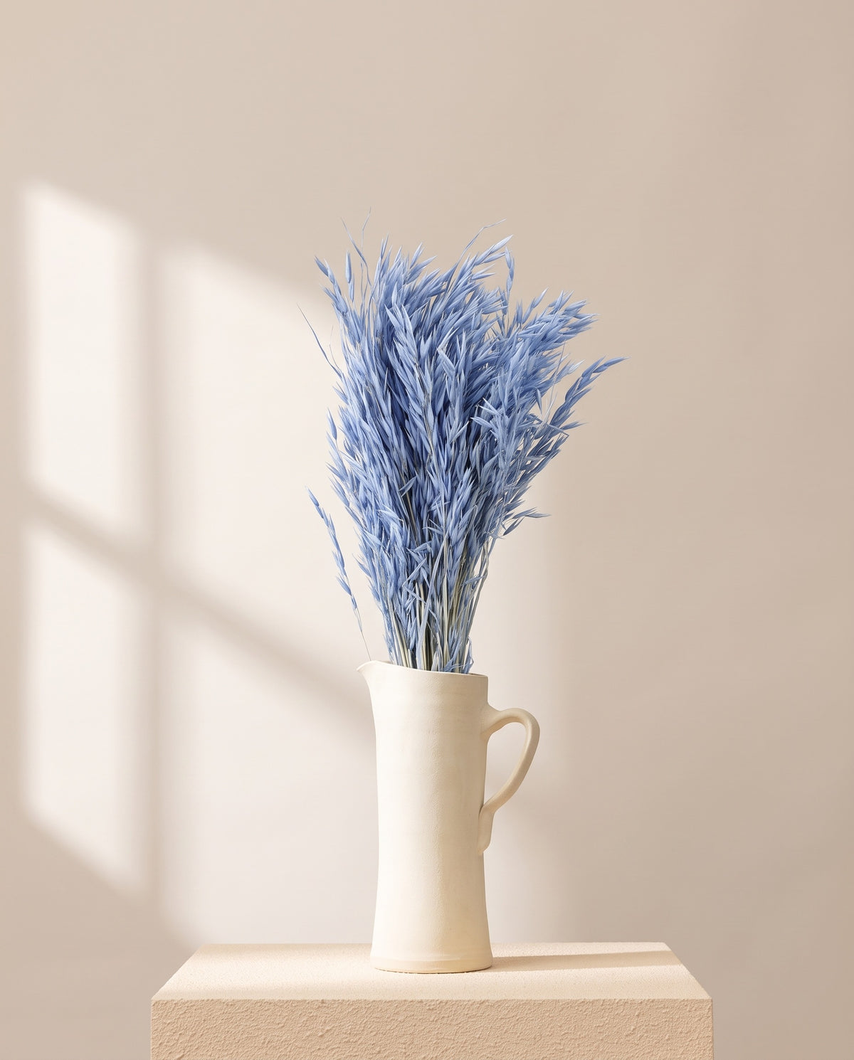 Avena Sativa seca azul claro en una jarra de cerámica crema. Jarra no incluida.