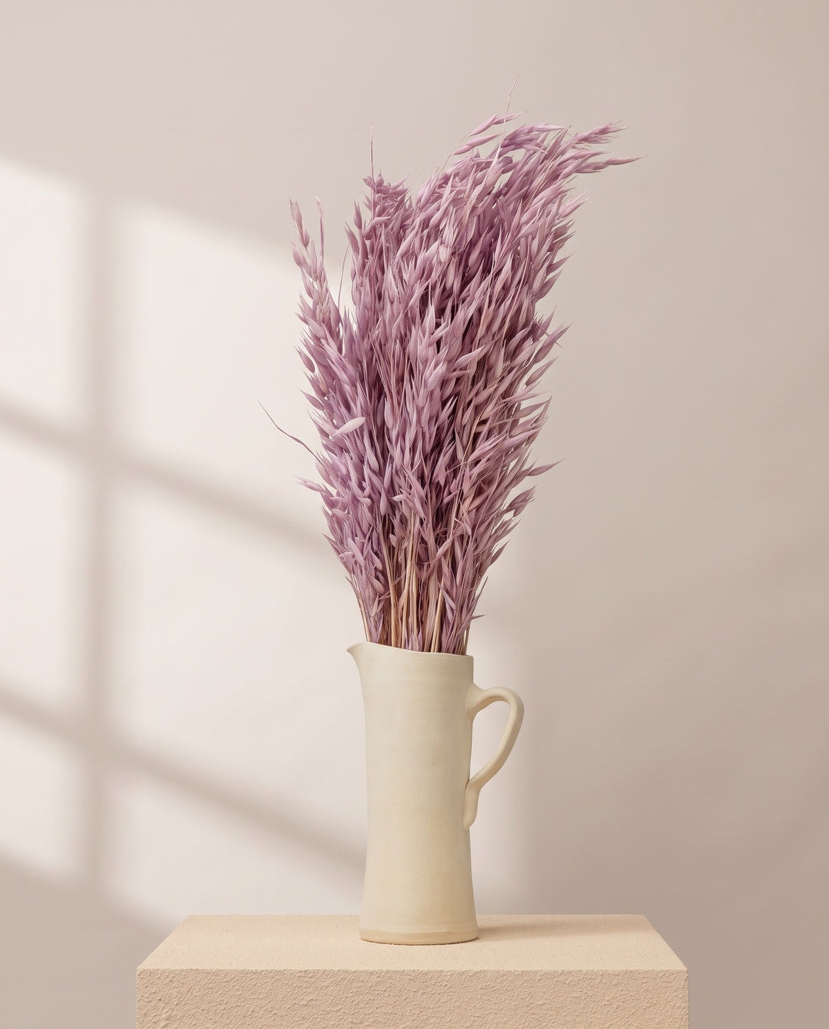 Avena Sativa seca lavanda en una jarra de cerámica crema. Jarra no incluida.