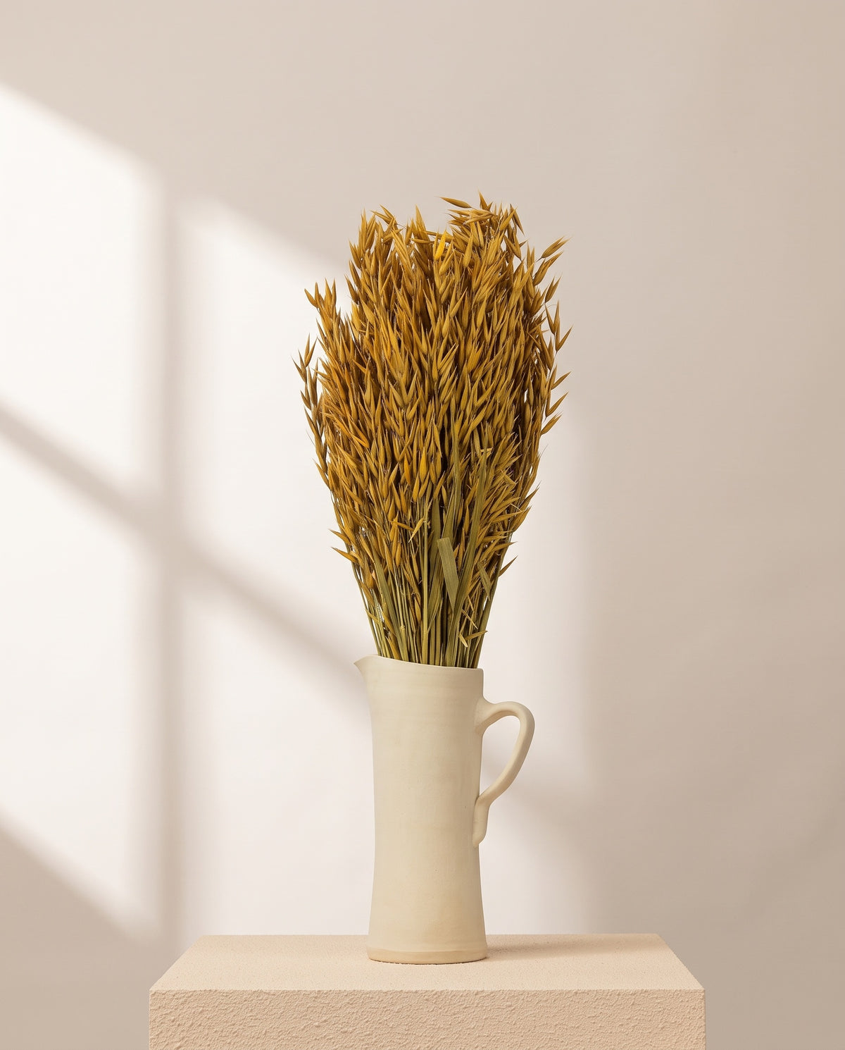 Avena Sativa seca ocre en una jarra de cerámica crema. Jarra no incluida.