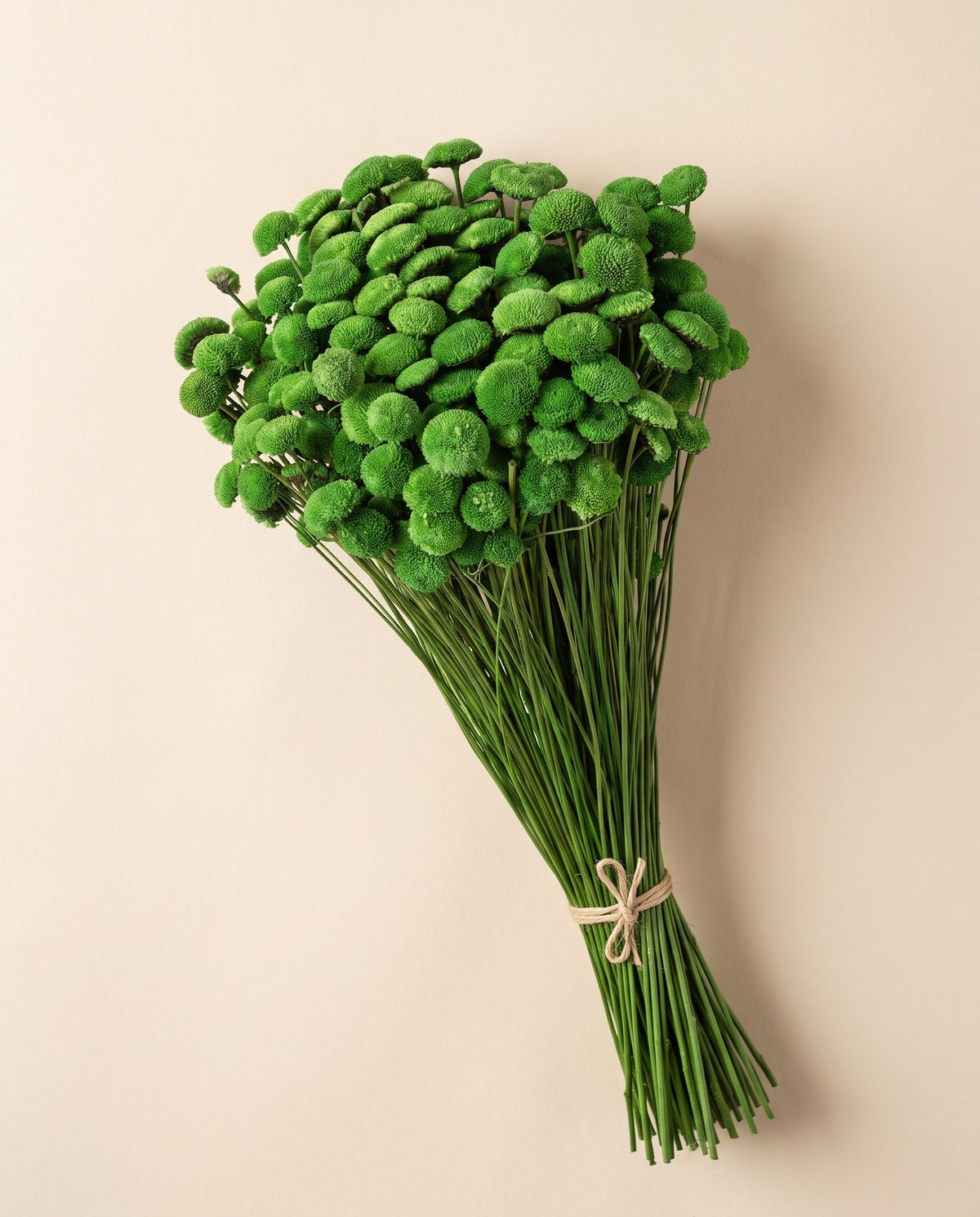 Botão seco verde