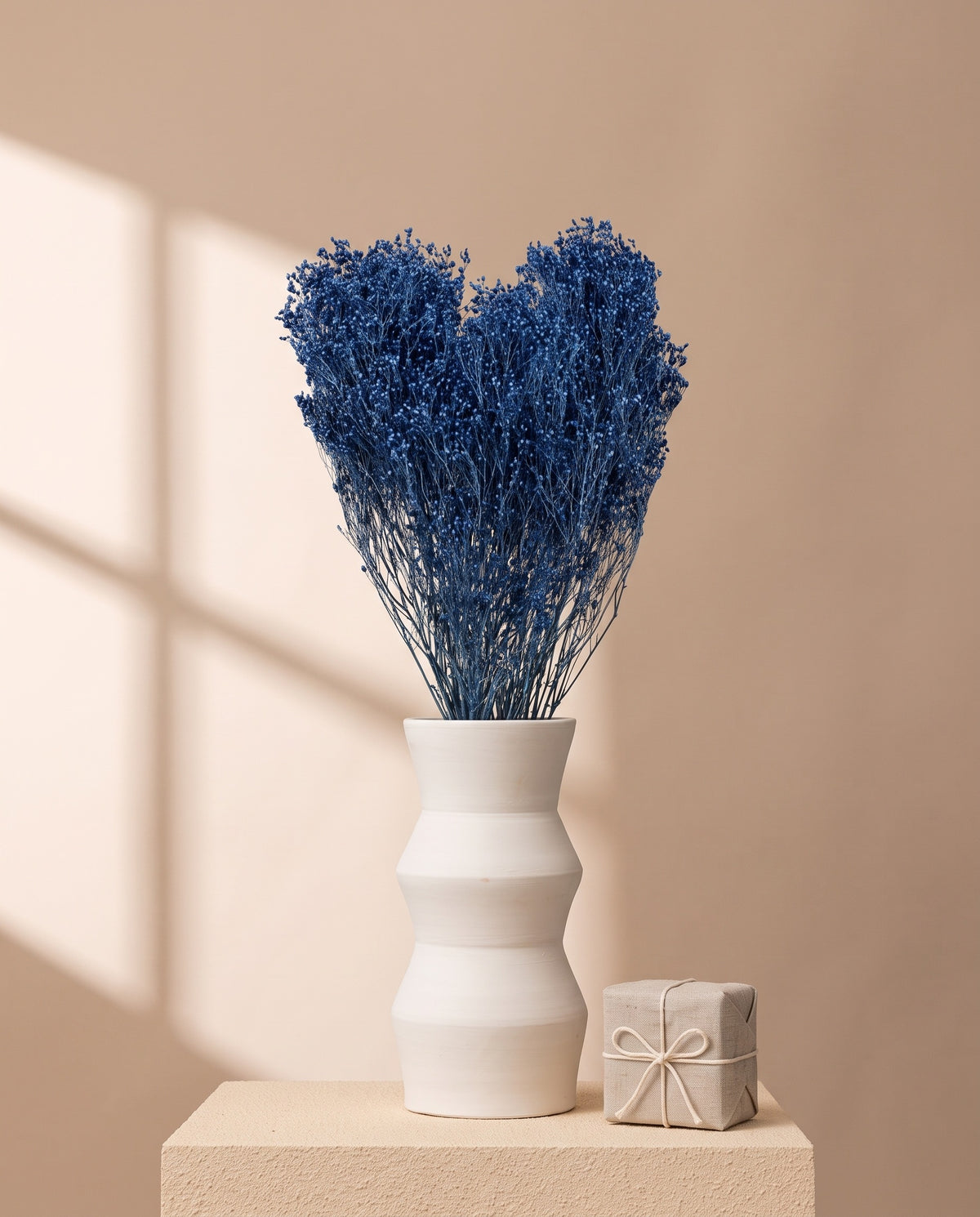 Broom bloom seco azul en jarrón de cerámica blanca, junto a una caja regalo de lino, con pared camel. Jarrón y caja no incluidos.