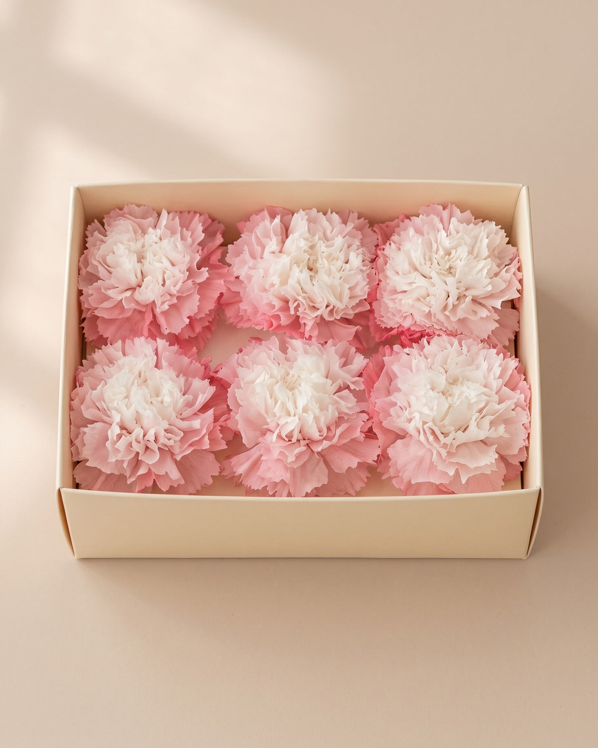 Claveles preservados en blanco y rosa, cabezas en una caja abierta