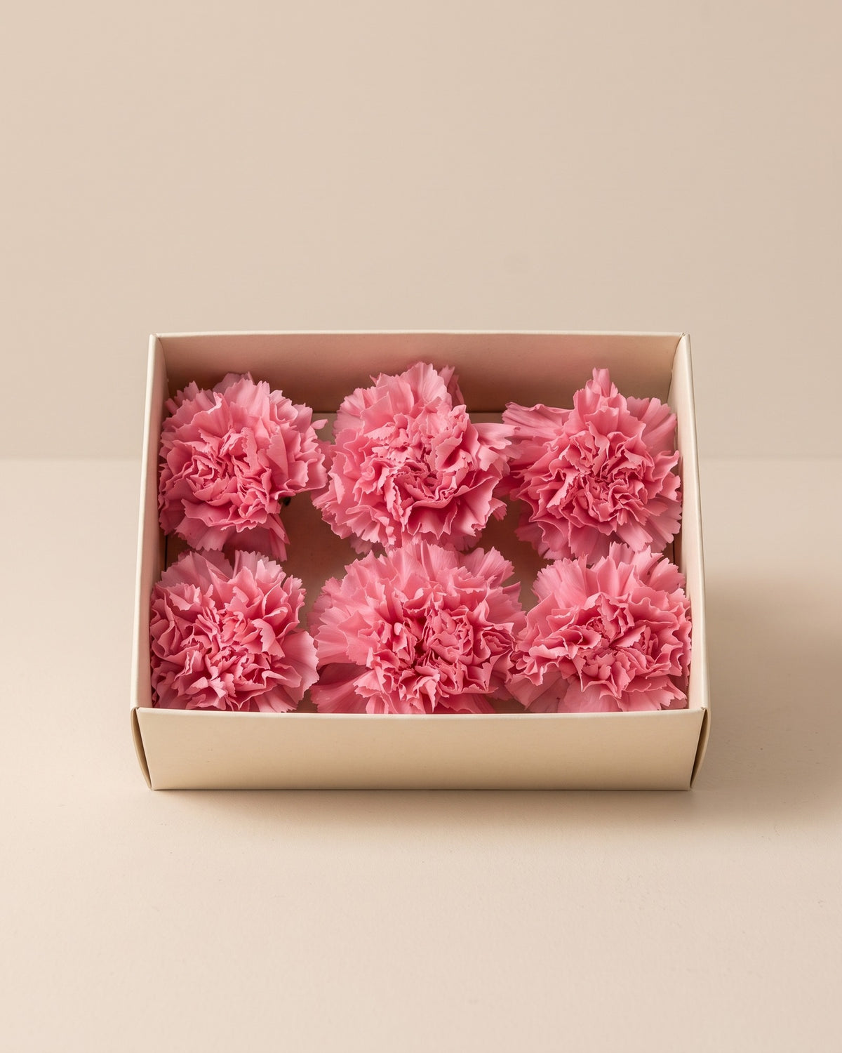 Claveles preservados rosa, cabezas en una caja abierta