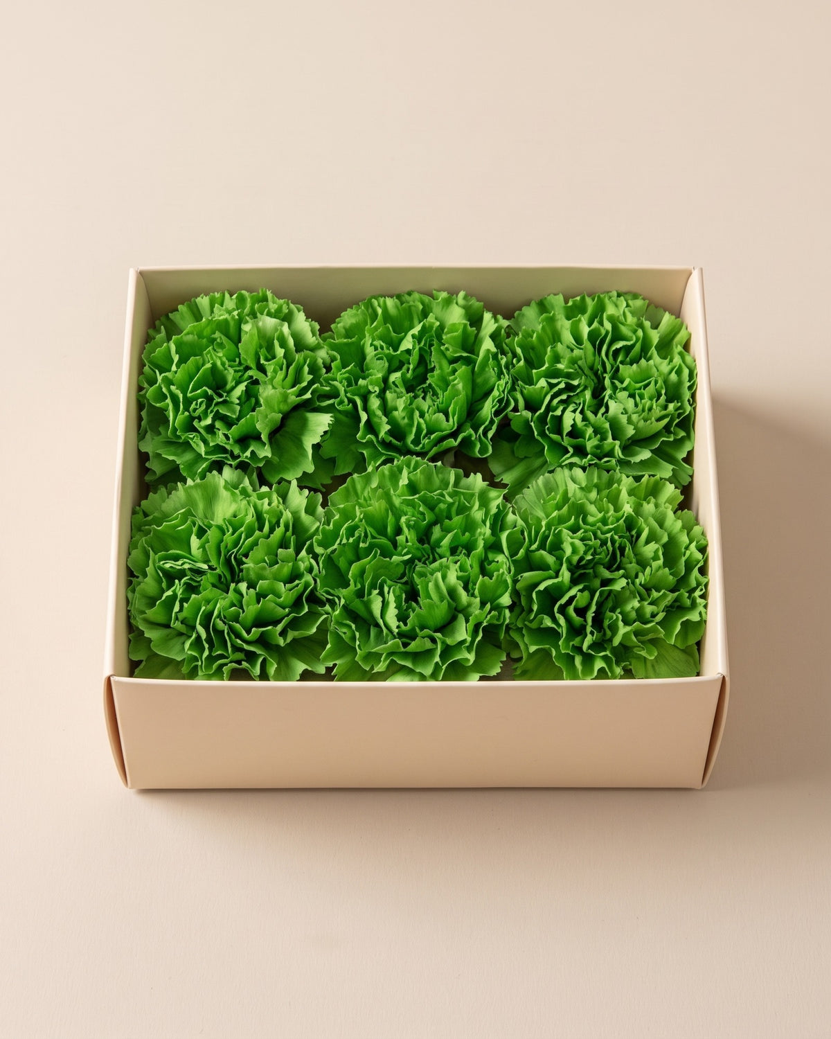 Claveles preservados verde pistacho, cabezas en una caja abierta