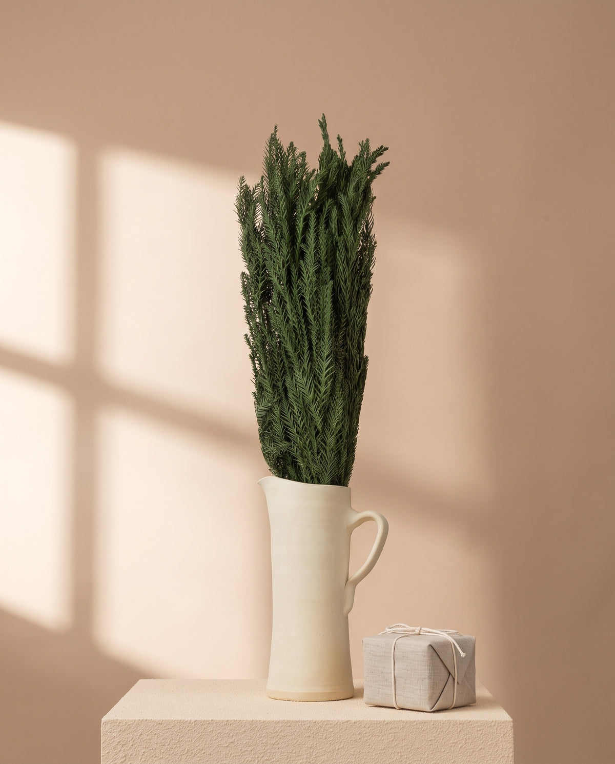 Cryptomeria preservada verde en una jarra de cerámica crema. Jarra no incluida; tampoco la caja regalo.