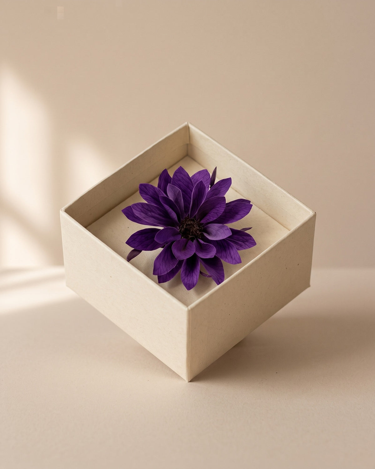 Cabeza de dalia preservada lavanda en una caja abierta