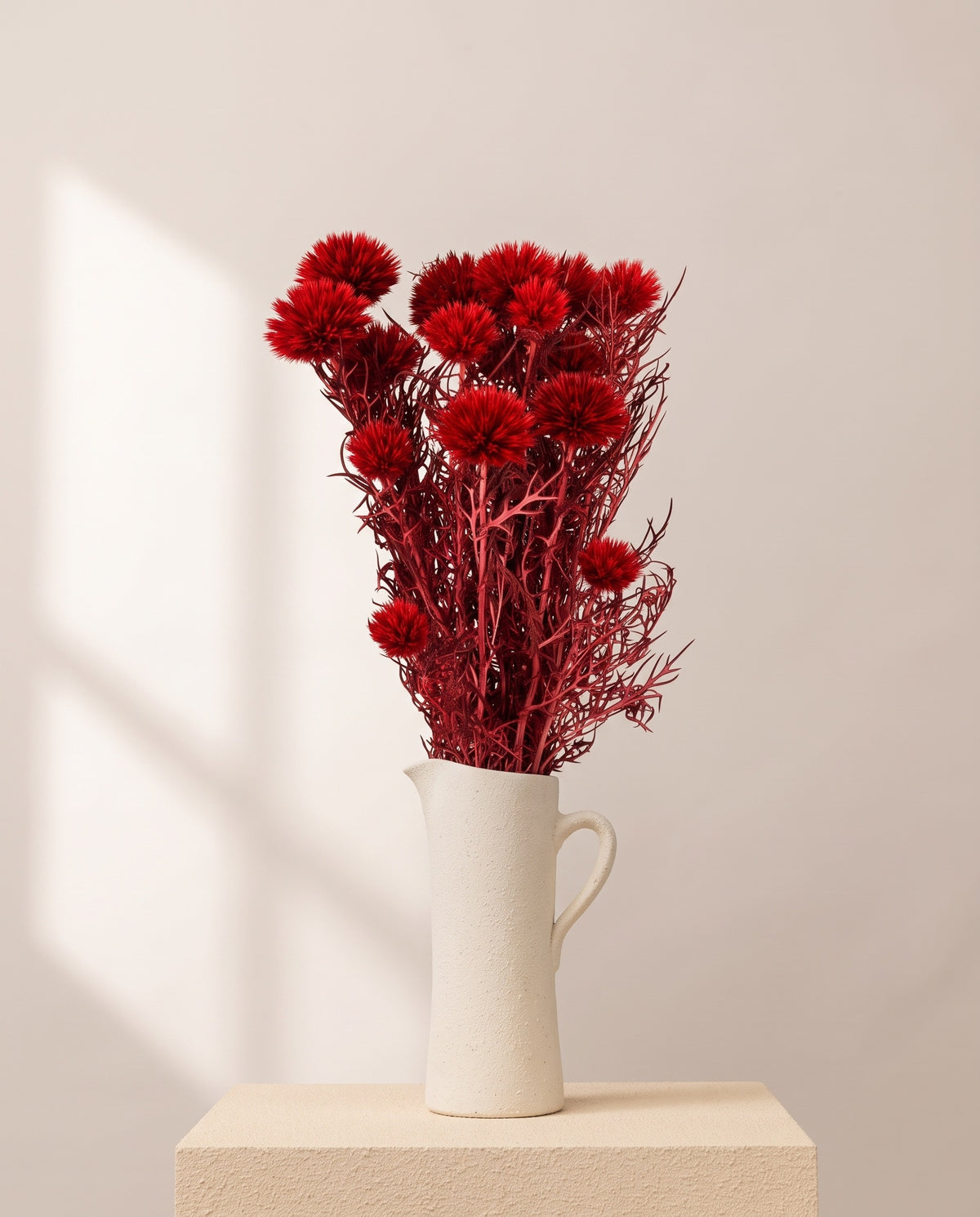 Echinops preservado vermelho numa jarra de cerâmica creme. Jarra não incluída.