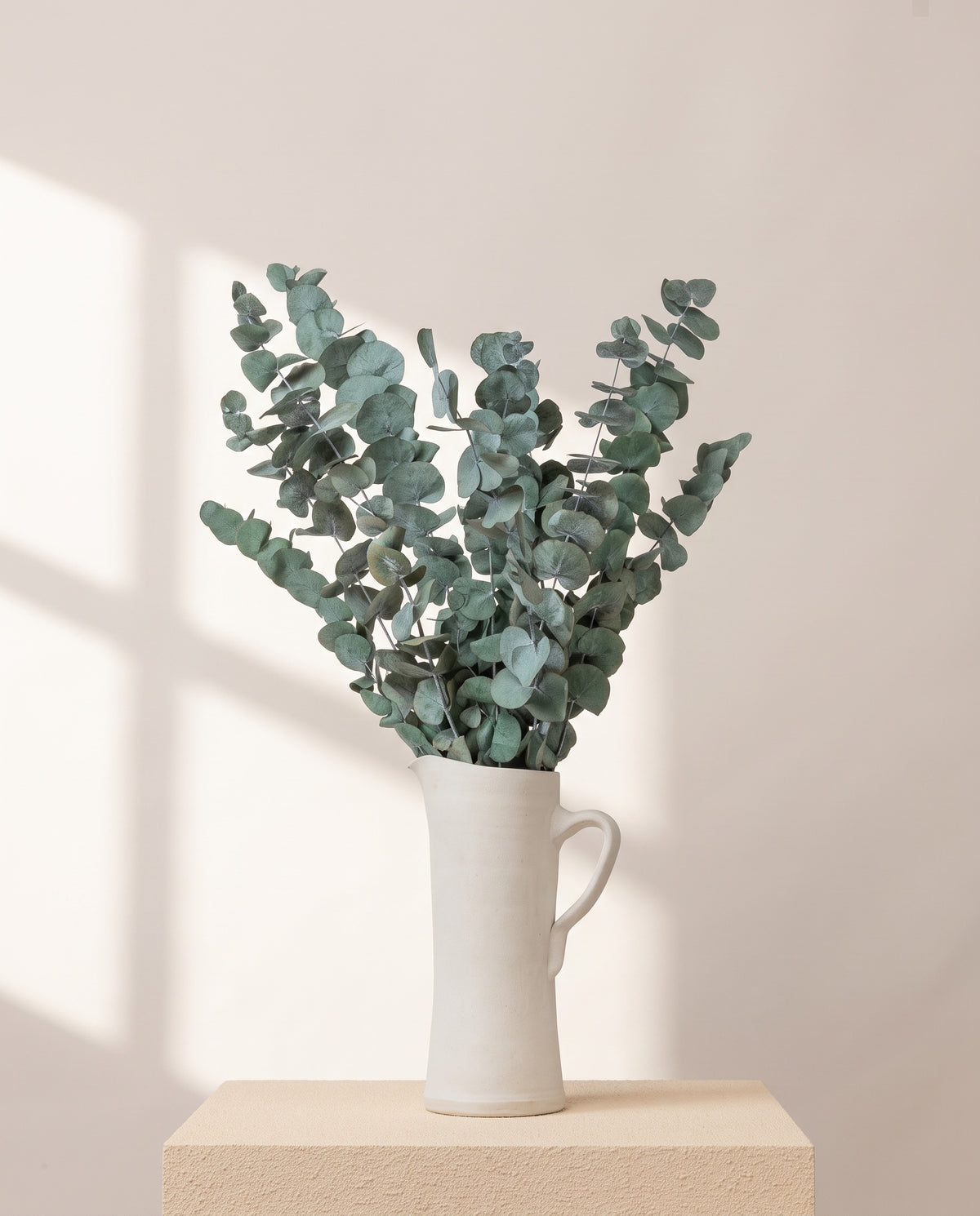 Eucalipto Cinerea preservado azul en una jarra de cerámica crema. Jarra no incluida.