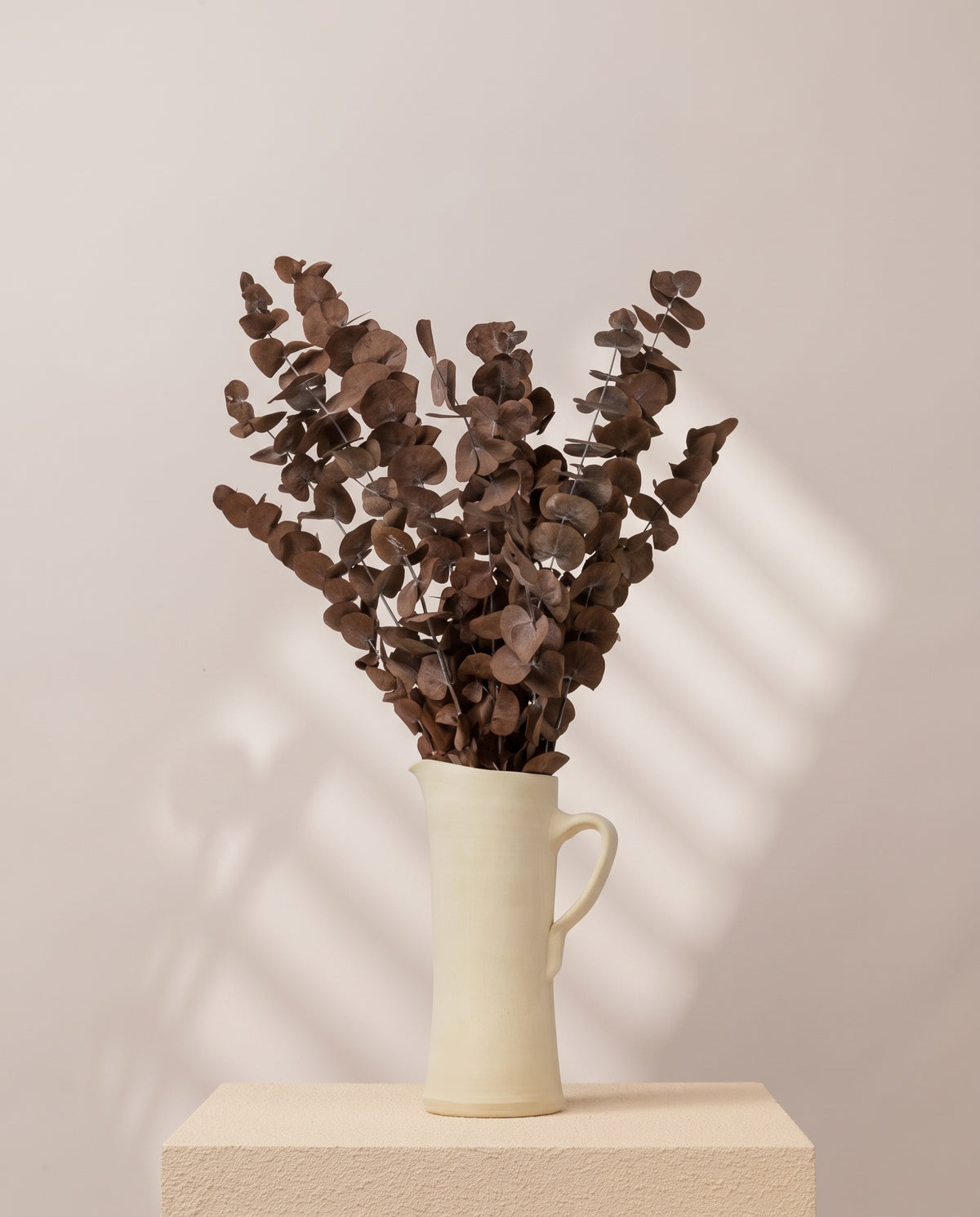 Eucalipto Cinerea preservado chocolate en una jarra de cerámica crema. Jarra no incluida.