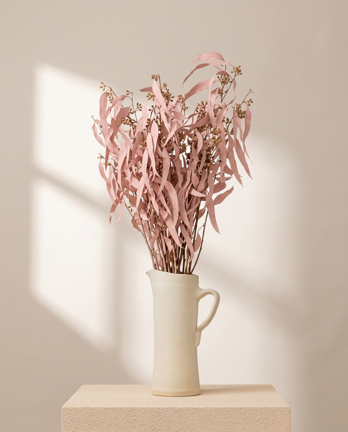 Eucalipto Exotica seco rosa claro en una jarra de cerámica crema. Jarra no incluida.